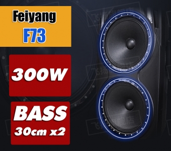 Loa kéo di động Feiyang F73 bass 30cm x2