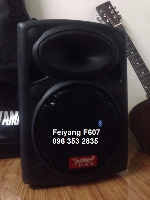 Feiyang F607